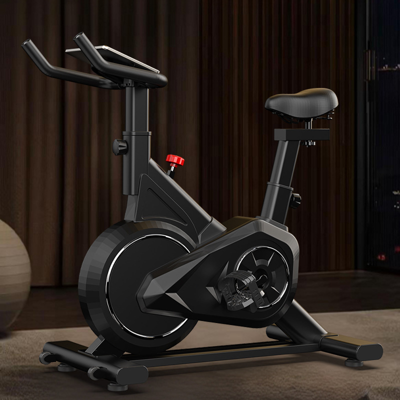 Exercise Bike Magnetic Resistance - Intelligente Spinning Bike Home Indoor Mini